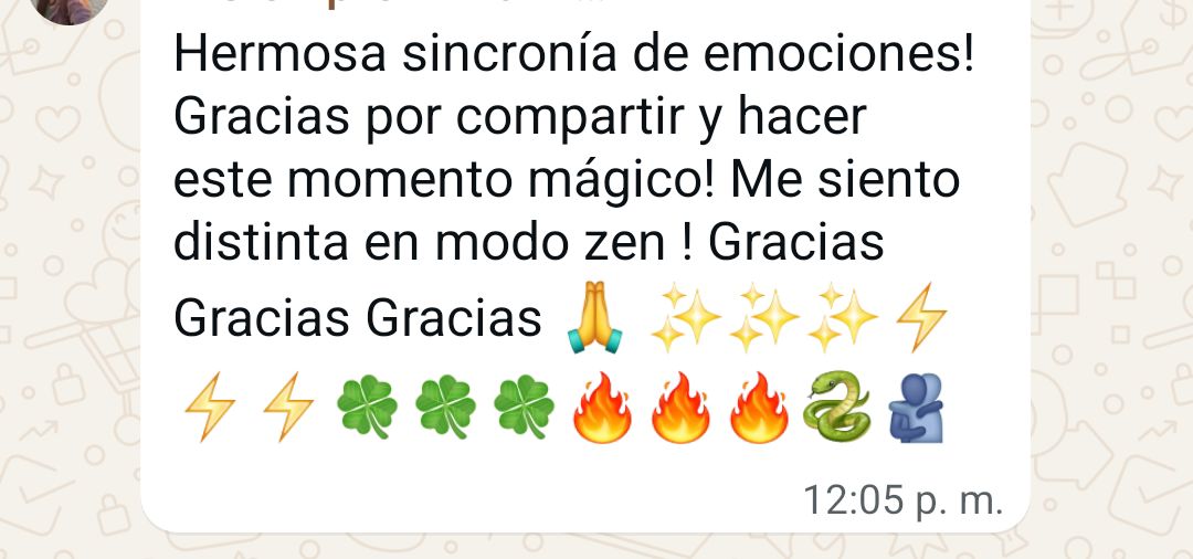 Depoimento 13