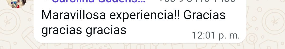 Depoimento 17