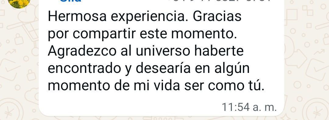 Depoimento 19